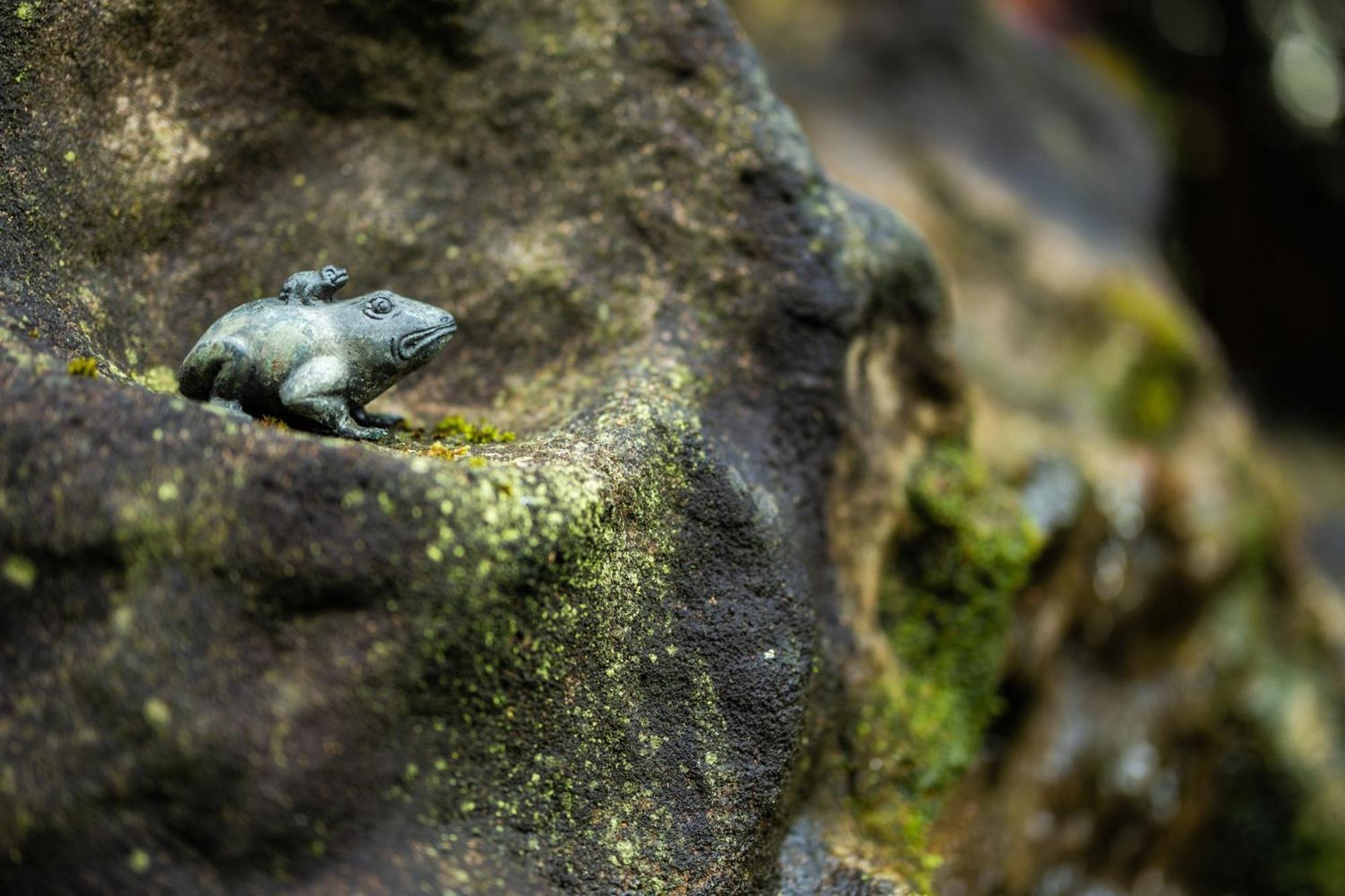 Gartenfewo Bad Wunnenberg Bagian luar foto