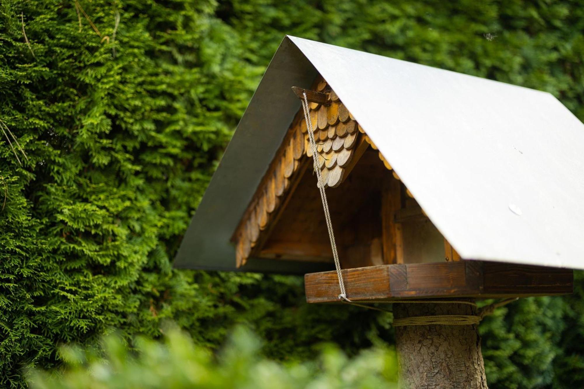 Gartenfewo Bad Wunnenberg Bagian luar foto