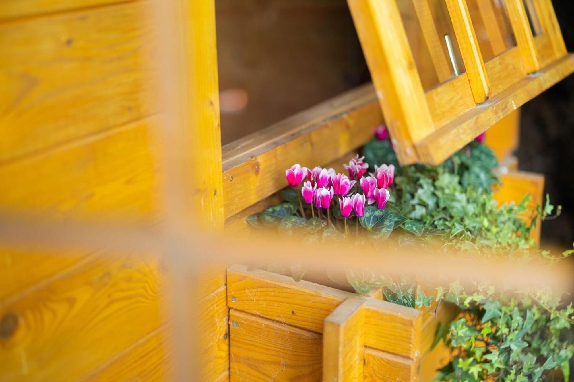 Gartenfewo Bad Wunnenberg Bagian luar foto