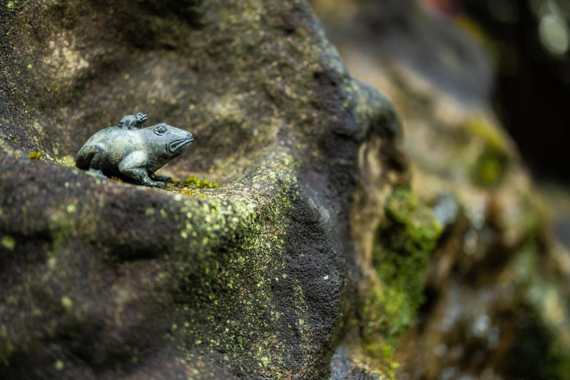 Gartenfewo Bad Wunnenberg Bagian luar foto